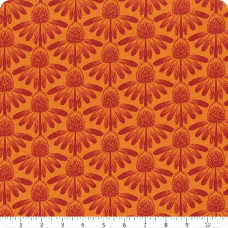 AMT Coneflower - Tangerine